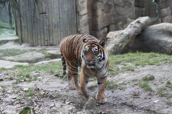 Zoo Brno