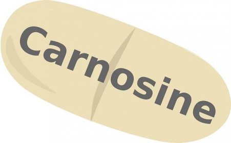 Karnosin