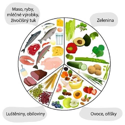 Potraviny vhodné pro nízkosacharidovou dietu