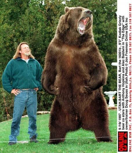 Bart the Bear