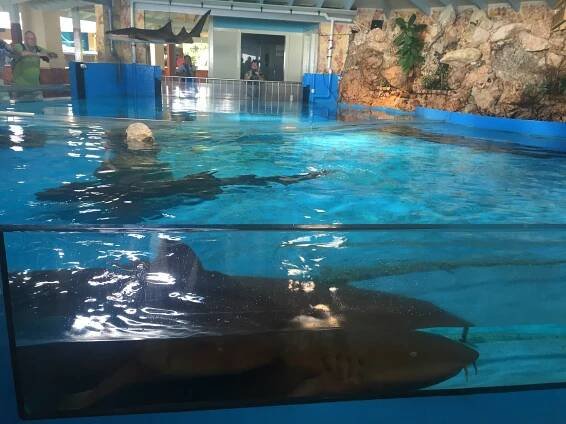 Curacao Sea Aquarium