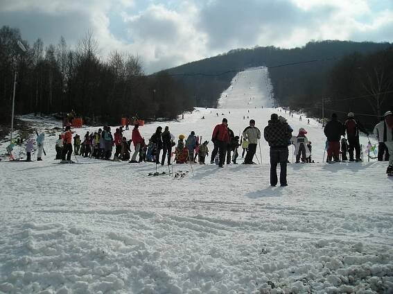 Karneval 2010 (galéria) - SKI CIGEL