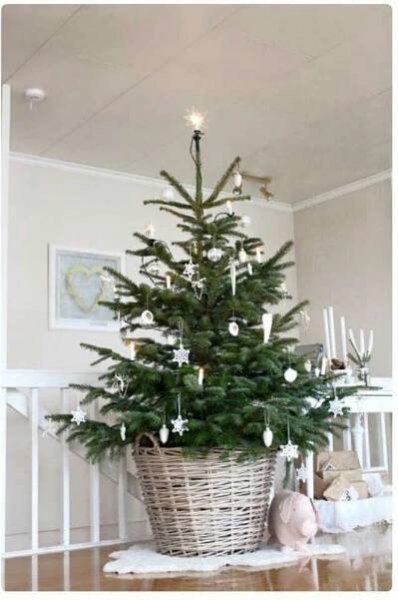 a small christmas tree in a wicker basket on top of a hard wood floor