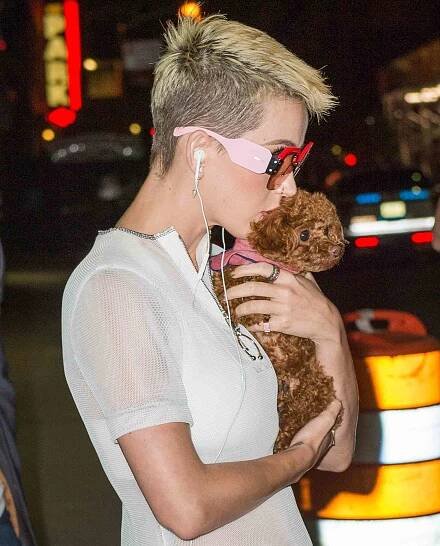 EXCLUSIVE: Katy Perry lights up the night wearing all white, spotted walking with her dog in New York.