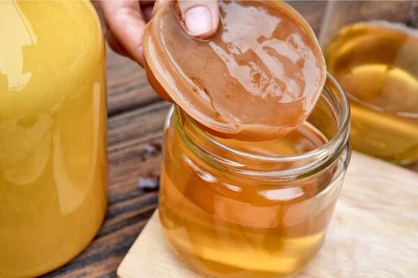 kombucha