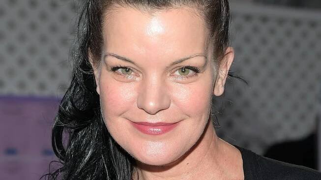 Pauley Perrette