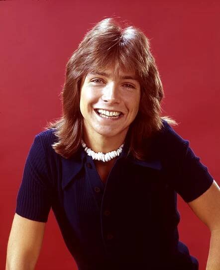 David Cassidy aka Keith Partridge from "The Partridge Family" | Source: Getty Images