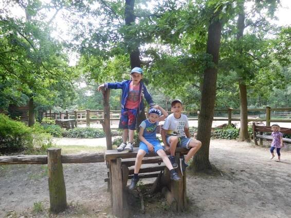 Výlet dětí MŠ a rodičů – ZOO Brno – Základní škola a Mateřská škola Žďárná