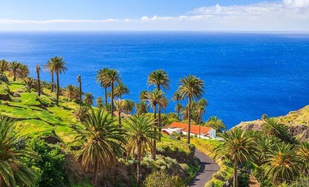 tenerife tipy – Pelipecky