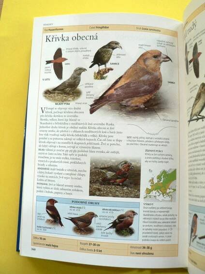 Ptáci Evropy Dravci Sovy Datli Sýkory Potápky Čápi Špačci (2004) | Aukro