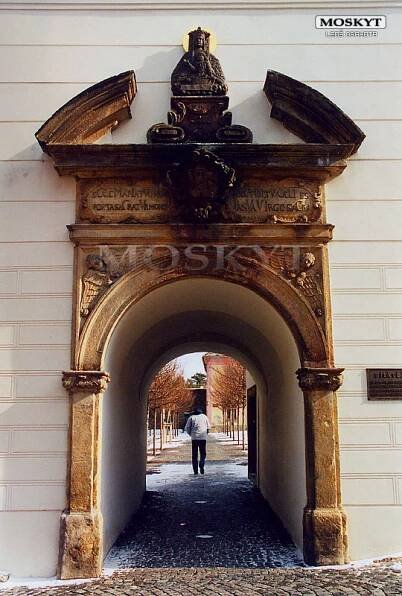 Krev Klatovské Madony - Moskyt