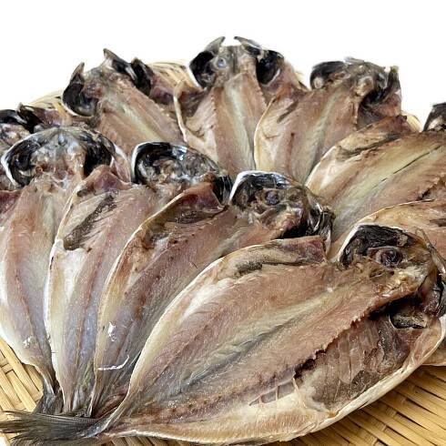 黒潮魚屋 / TOPページ