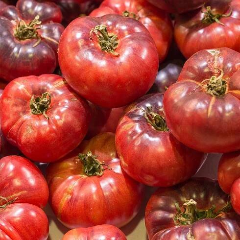 Rajče Černý Krim - Solanum lycopersicum - semena rajčete - 7 ks
