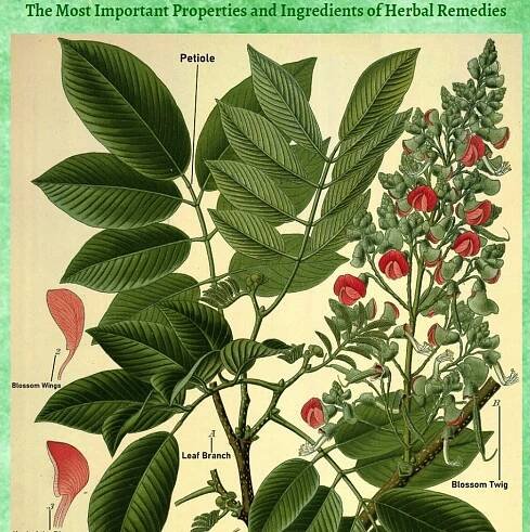 lost book of herbal remedies