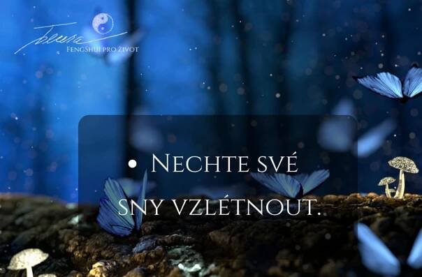 Akční neděle?... – na neděli 22.07.18