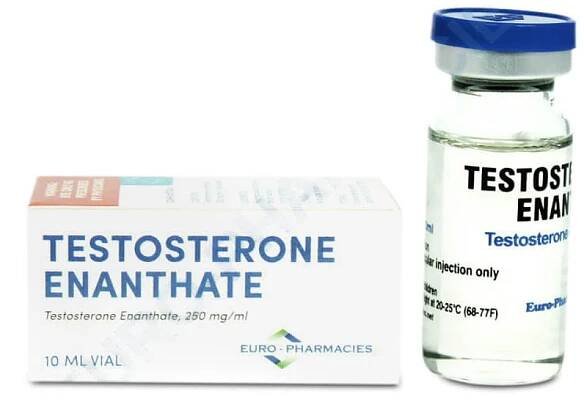 Euro lékárny Testosteron Enanthate
