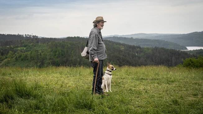 Gump – jsme dvojka – Filmy a Seriály online zdarma.
