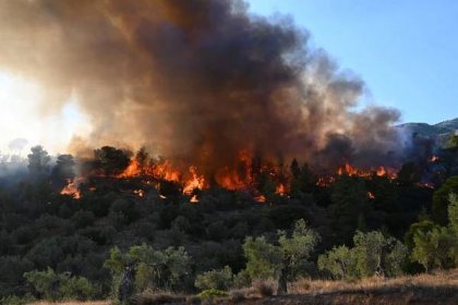 V řeckých lesích na hranici s Tureckem se našlo 18 spálených těl. Pravděpodobně jde o ilegální migranty