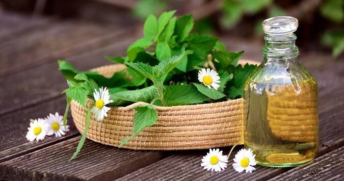 Jak připravit kopřivový sirup. Oblíbené recepty na jednoduchý sirup zastudena i na sirup připravený vařením