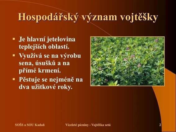 PPT - VOJTĚŠKA SETÁ PowerPoint Presentation, free download - ID:933085