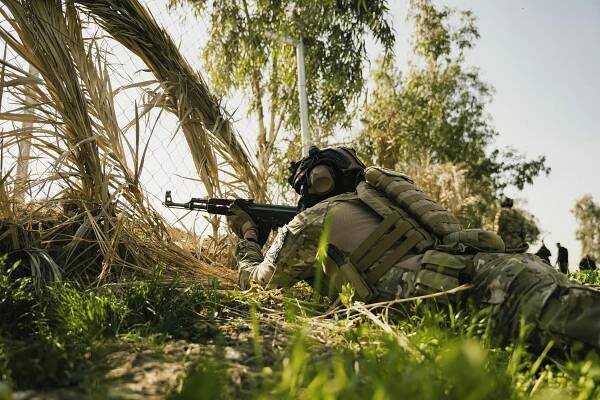 Základová fotografie na téma @ venku, airsoft, akce, armáda, bezpečnost, boj, brnění, hlídka, kamufláž, městská válka, městský