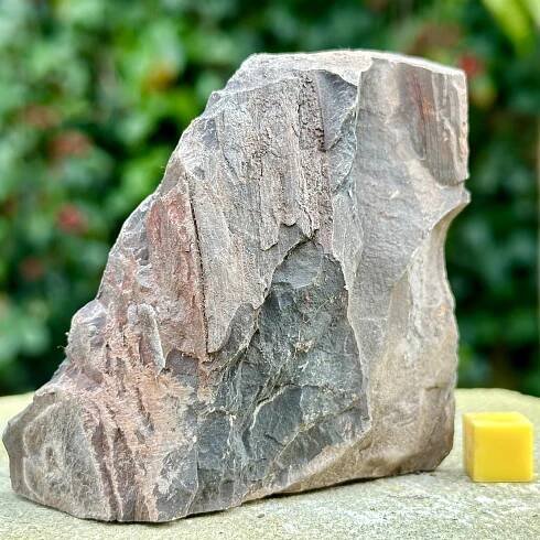 Carboniferous Coal Measures Somerset (rock sample)