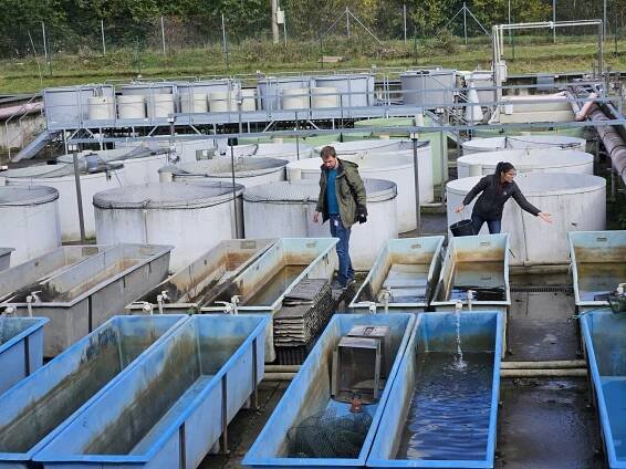 S odborníkmi o ochrane vôd: Čo si odnášame z LIFE semináru venovaného živým riekam? – livingrivers.sk