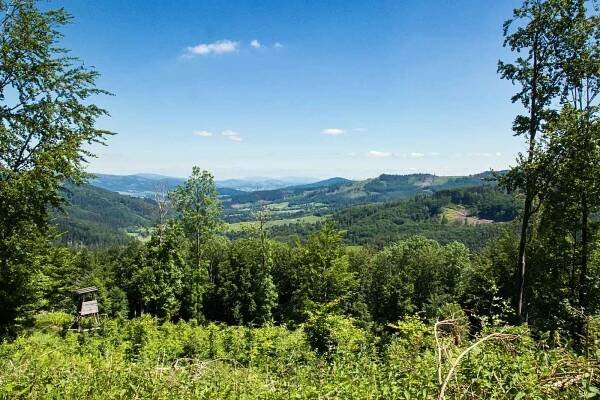Prales Mionší leží v Těšínských Beskydech u obce Dolní Lomná na Frýdecko-Místecku a patří mezi nejzachovalejší svého druhu.