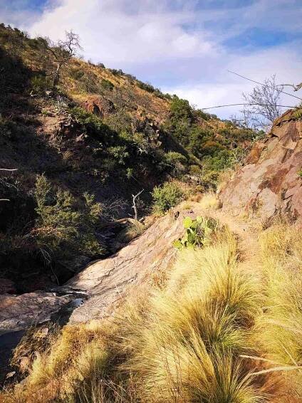 Big Bend Slide Show | Big Bend Guide