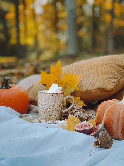 Enjoy the vibrant colors of Fall