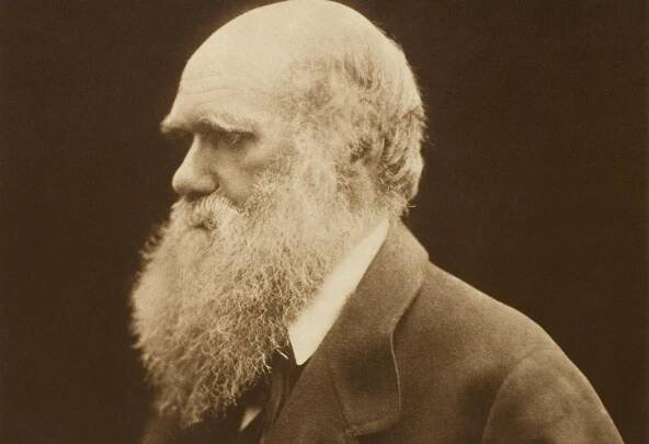 Marine Chronometer From Charles Darwin's Ocean Expedition Is Banned From Being Sold Abroad