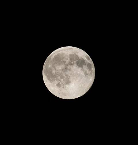 Full moon, 2 June 2015
Canon EOS 5D Mark I + Tamron 400mm 7.5
F7.5, 1/60, .50