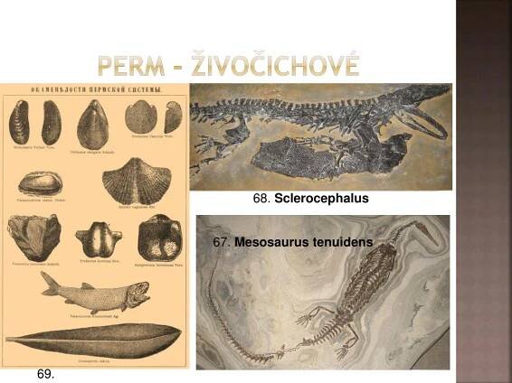 PPT - HISTORIE ZEMĚ 2 - PRVOHORY PowerPoint Presentation, free download - ID:3287607