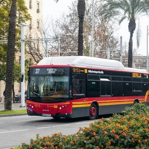 Sevilla: Autobusová jízdenka mezi letištěm a centrem města | GetYourGuide