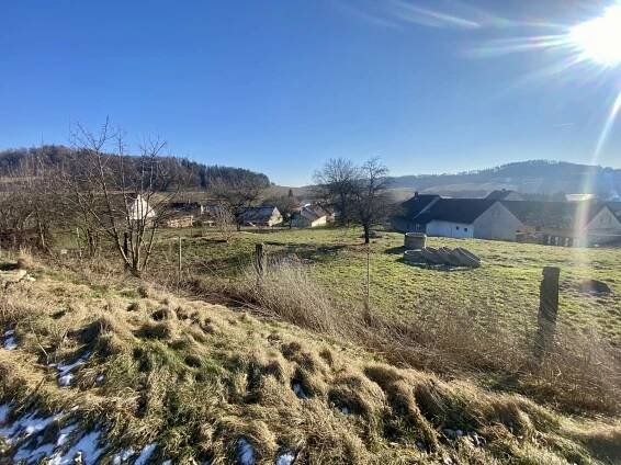 Prodej Pozemek, Chlumy, okres Plzeň-Jih