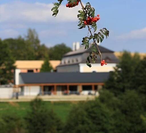 Romantický pobyt ve VIP apartmánu na 4 noci-Hotel Líšeňský Dvůr