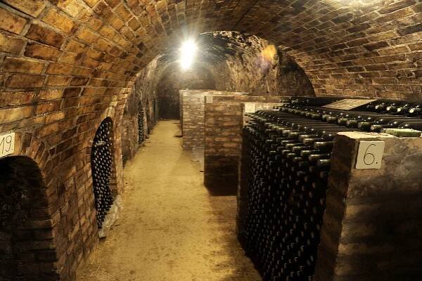 Vinařství | Hungarian Wine