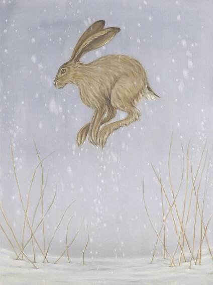 Shop Art Prints & Greeting Cards | Bella Bigsby — BELLA BIGSBY