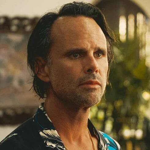 10 Walton Goggins Shows and Movies to Watch After The White Lotus
