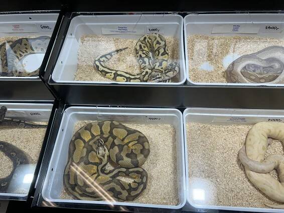 O Fauna trhy v Ostravě byl obrovský zájem. Konce fronty nešlo dohlédnout