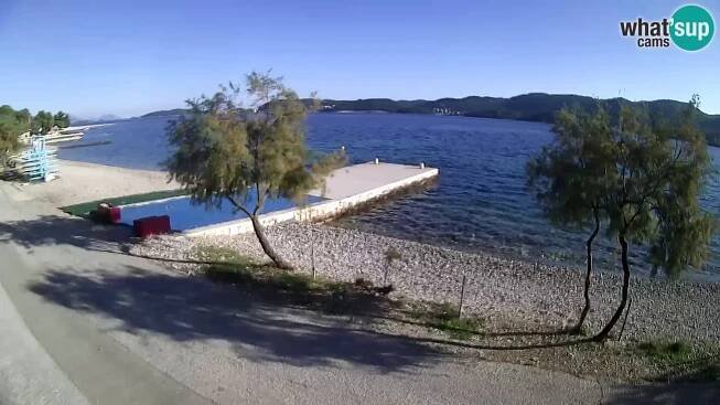 Webcam Viganj – Pelješac –  Antony-Boy Autocamp