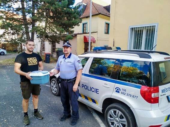 Strážníci Městské policie Dobříš ve spolupráci s...