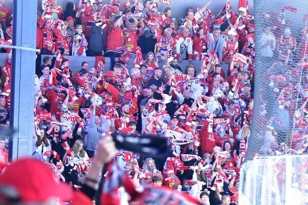 Will chválí fanoušky Dynama. Dodávají energii celý zápas, říká po výhře