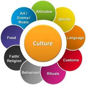 Culture And Cognition - Complete Essay With Outline - Tech Urdu