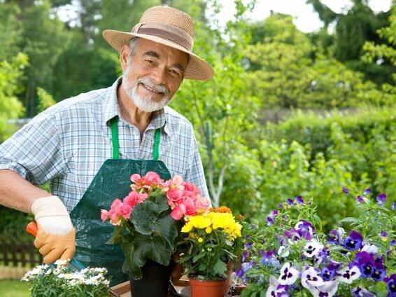 What Is A Master Gardener: Learn About Master Gardener Training