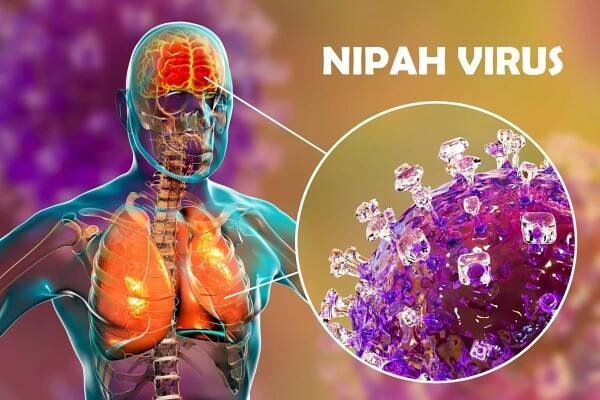 Nipah Virus Outbreak in Kerala