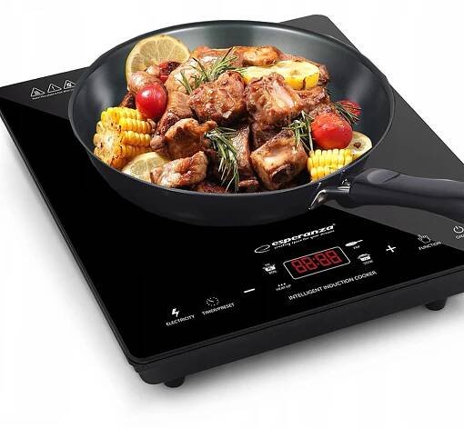 Indukční sporák ESPERANZA VESUVIUS EKH009 1 hořák Model VESUVIUS EKH006