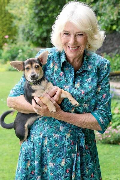queen camilla