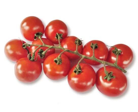 Rajčata Tomino keř 500 g