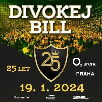 DIVOKEJ BILL náhledový obrázek
